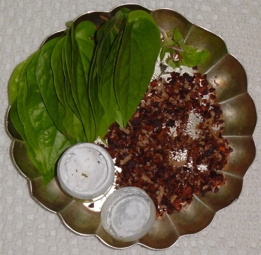 Betel Nut (Areca catechu)