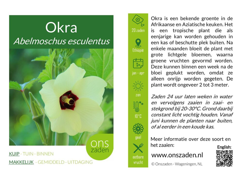Okra (Abelmoschus esculentus)