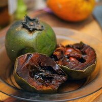 Black Sapote (Diospyros digyna)