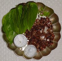 Betel Nut (Areca catechu)