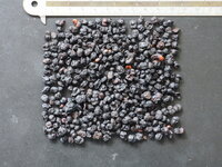 Five-flavour-fruit (Schisandra chinensis)