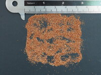 Tea Tree (Melaleuca alternifolia)