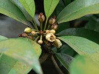 By: Dinesh valke CC BY-SA 2.0