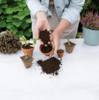Organic seed and cutting compost - 5 L
