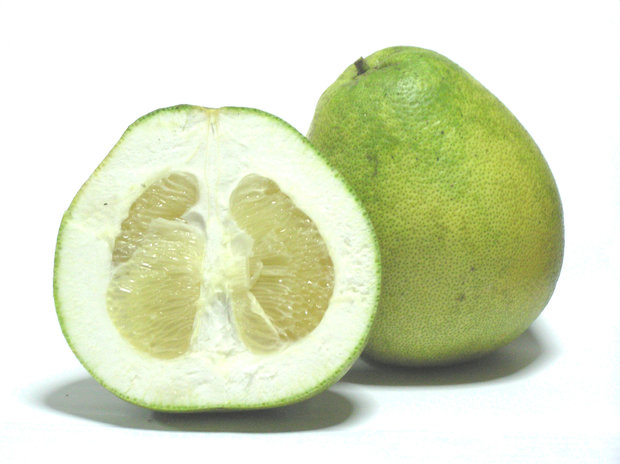 Pomelo (Citrus maxima)