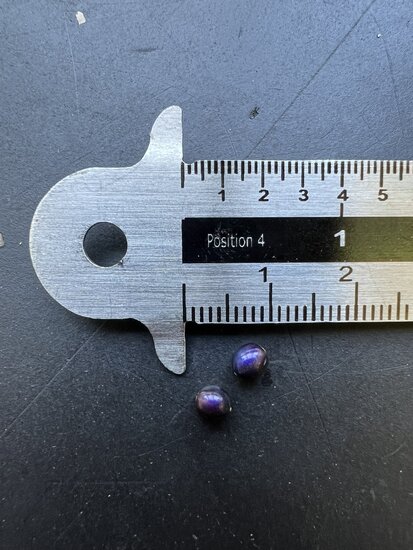 Marble Berry (Pollia condensata)