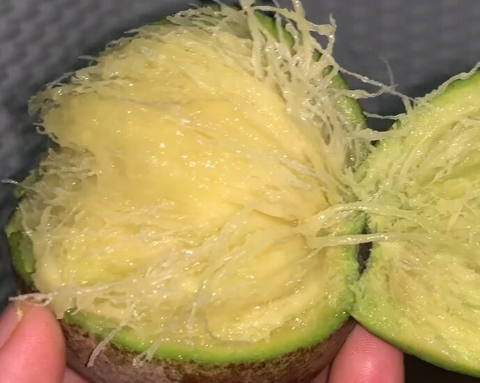 Sour Mango (Mangifera rufocoscata)