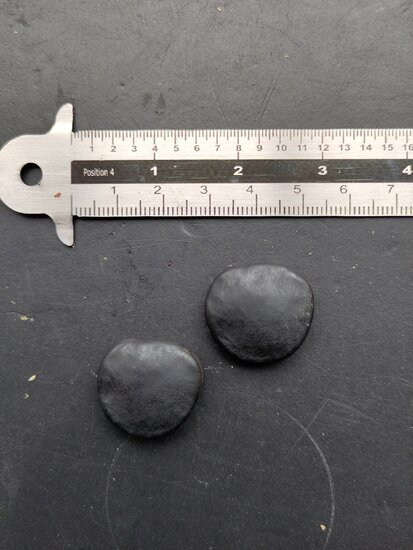 Netted velvet bean (Mucuna reticulata)