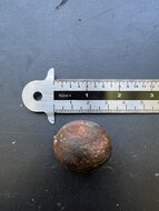Nutmeg (Myristica fragrans)