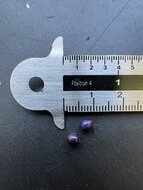 Marble Berry (Pollia condensata)