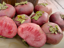 Red sapote (Timonius minahassae)