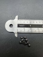 Japanese Pepper (Zanthoxylum piperitum)