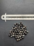 Golden-rain tree (Koelreuteria paniculata)