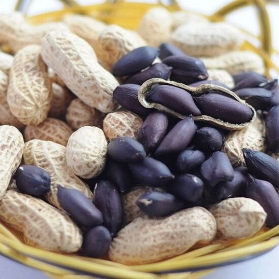 Black Peanut Arachis hypogaea Black