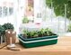 Growing Supplies